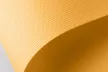 00900 238