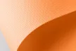 00900 239