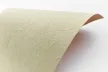 007-307