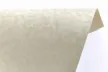 012-PL303