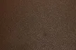0502016_Night_brown