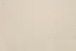 0758510_Water_lily_white